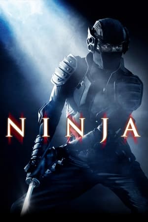 Ninja (2009) Hindi Dual Audio – 480p