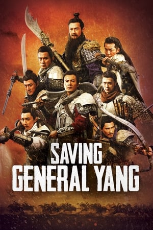Saving General Yang (2013) Hindi Dual Audio [900MB]